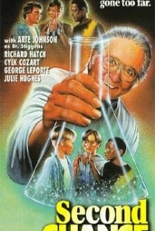 Second Chance (1996) afişi