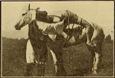Mazeppa, Or The Wild Horse Of Tartary (1910) afişi