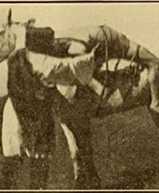 Mazeppa, Or The Wild Horse Of Tartary (1910) afişi