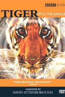 Tiger: Spy In The Jungle (2008) afişi