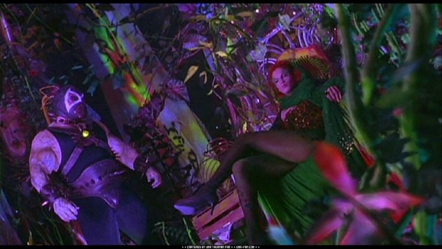 Batman ve Robin Fotoğrafı