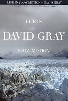 David Gray: Life In Slow Motion (2005) afişi