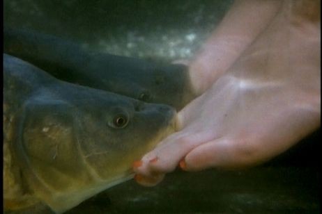 Zevk Komplocuları Fotoğrafı