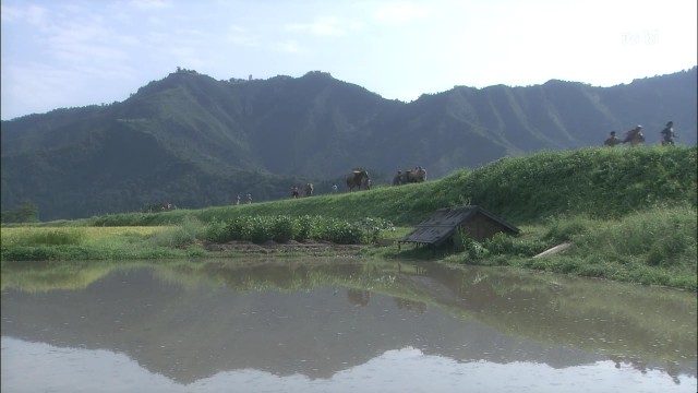 Tenchijin Fotoğrafı