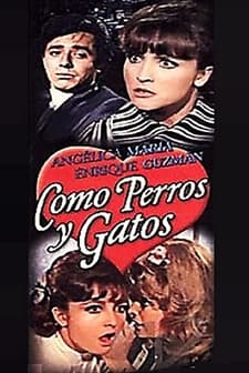 Como Perros Y Gatos (1969) afişi