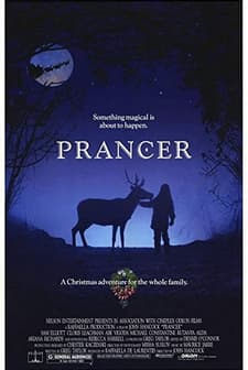 Noel Baba'nın Geyiği (1989) afişi