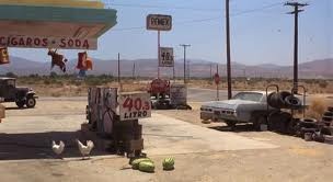 Terminatör Fotoğrafı