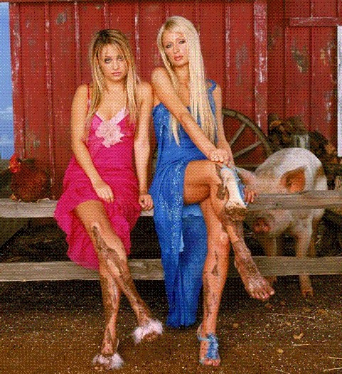 The Simple Life fotoğrafı