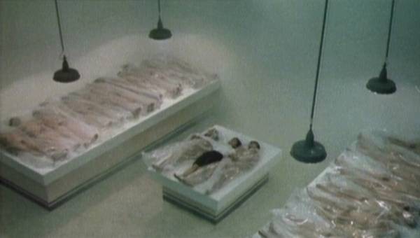 Runaway Blues Fotoğrafı