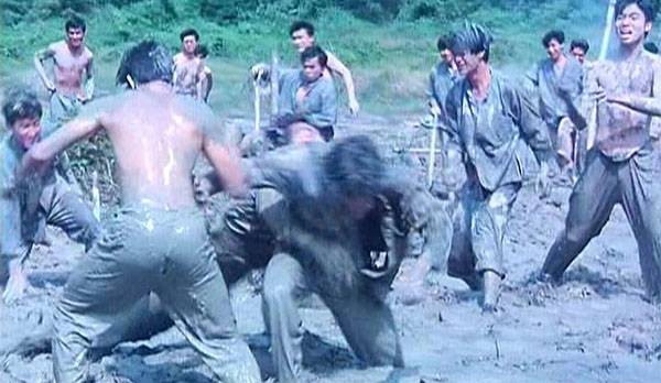 Stars & Roses Fotoğrafı