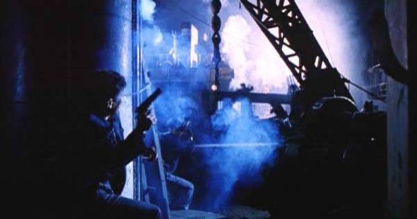 The Tigers Fotoğrafı