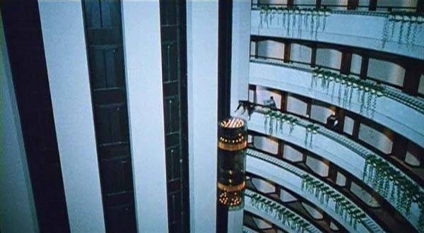 The Tigers fotoğrafı