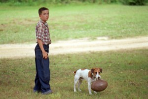 Köpeğim Skip Fotoğrafı