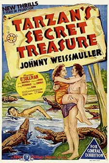 Tarzan's Secret Treasure (1941) afişi