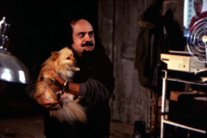 Şaşkınlar fotoğrafı