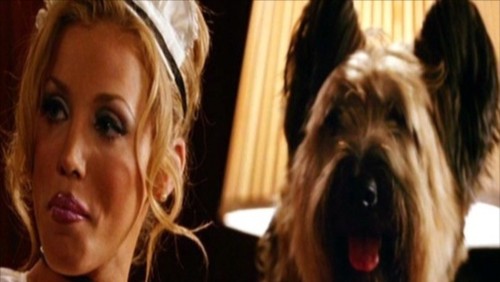 Amerikan Pastası Düğün Fotoğrafı