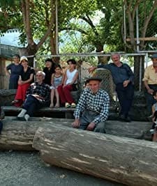 Un Dragon Dans Les Eaux Pures Du Caucase (2005) afişi