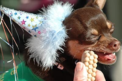 Fuzzy Little People (2007) afişi