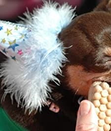 Fuzzy Little People (2007) afişi