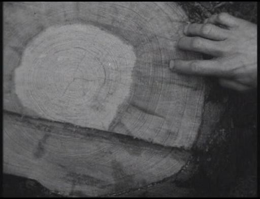 Konec Srpna V Hotelu Ozon Fotoğrafı