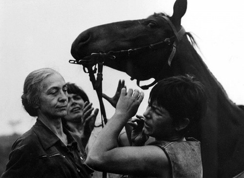 Konec Srpna V Hotelu Ozon fotoğrafı