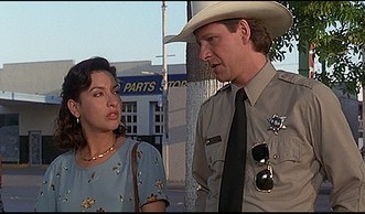 Yalnız Kovboy Fotoğrafı