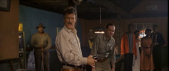 Yalnız Kovboy Fotoğrafı