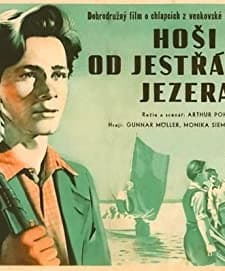 Die Jungen Vom Kranichsee (1950) afişi