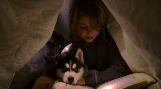 Kar Patileri Fotoğrafı