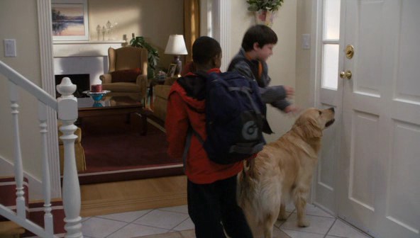 Kar Patileri fotoğrafı