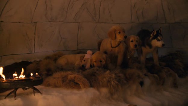 Kar Patileri Fotoğrafı