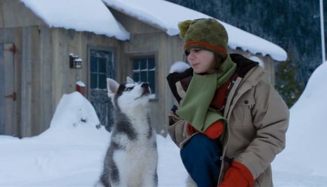 Kar Patileri Fotoğrafı