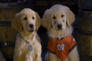 Kar Patileri Fotoğrafı