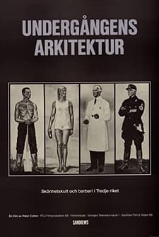 Undergångens Arkitektur (1989) afişi