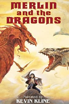 Merlin And The Dragons (1991) afişi