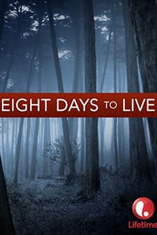 Oğlumun Peşinde (2006) afişi