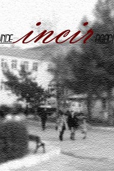 Hastane Önünde İncir Ağacı (2004) afişi