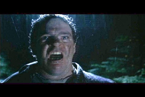 Kara Orman fotoğrafı