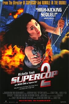 Project S (1993) afişi