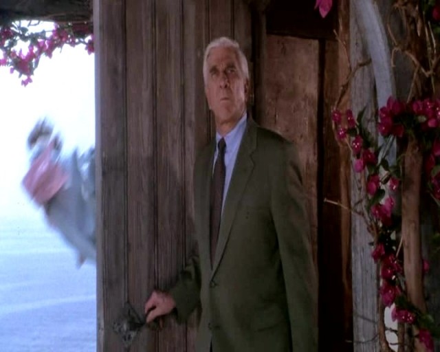 Çıplak Silah 3 fotoğrafı