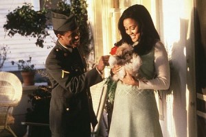 Ahmaklar Neden Aşık Olur? Fotoğrafı