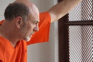 Sokakların Patronu Fotoğrafı