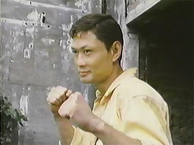 Tiger Angels fotoğrafı