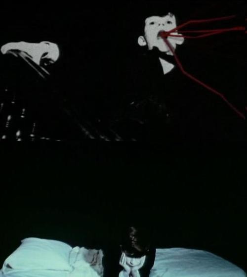 The Grandmother fotoğrafı