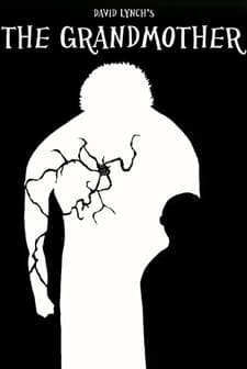 The Grandmother (1970) afişi