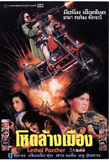 Lethal Panther (1990) afişi