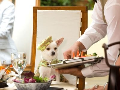 Beverly Hills Çuvava Fotoğrafı