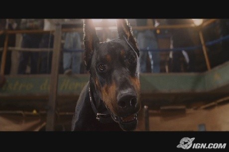 Beverly Hills Çuvava Fotoğrafı