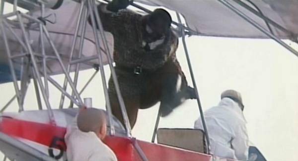 Dragon From Shaolin Fotoğrafı