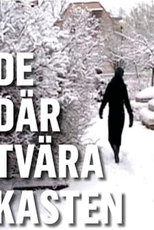 De Där Tvära Kasten (2008) afişi